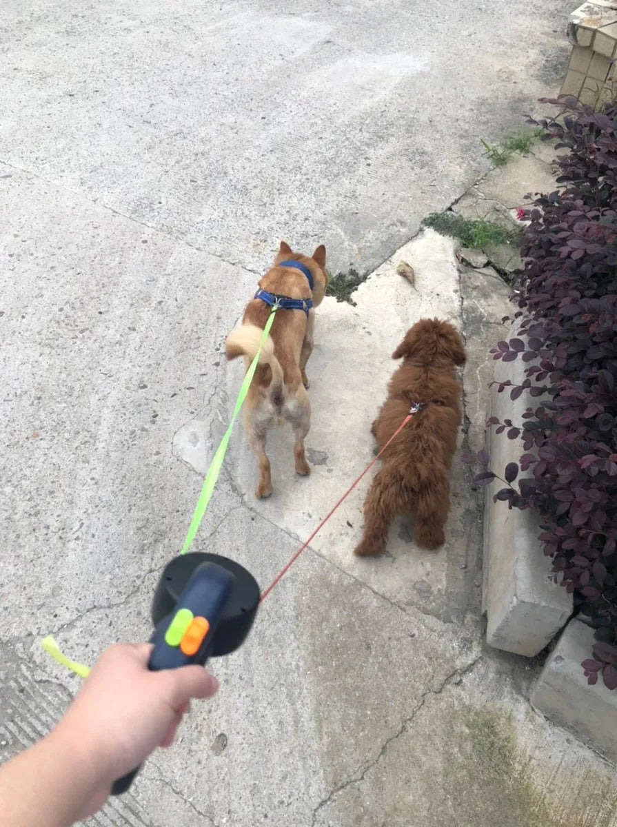 TangleFree Duo™: Retractable Dual Leash with LED Lights - Good Boy Pty Ltd