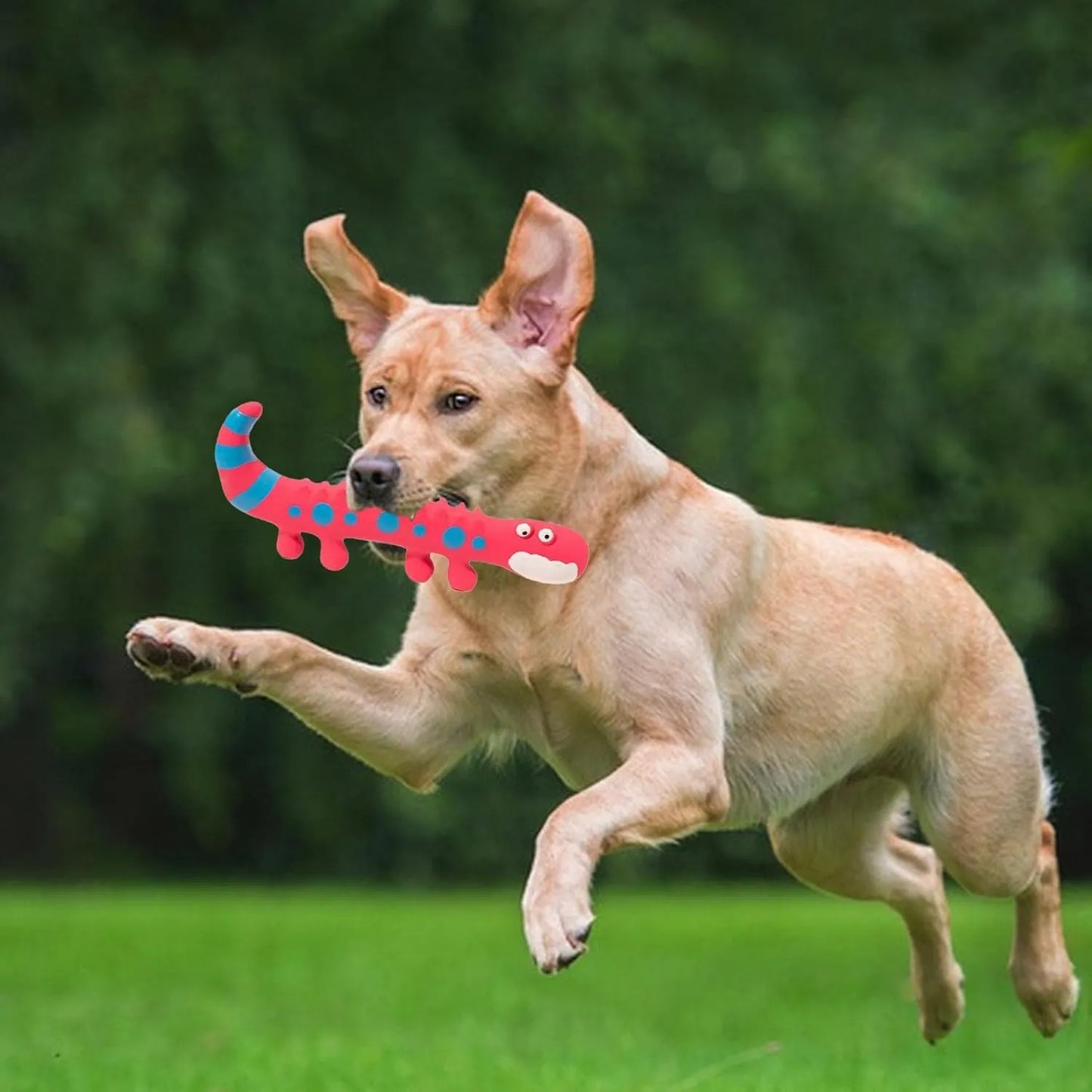 Interactive Lizard Pet Toy - Good Boy Pty Ltd