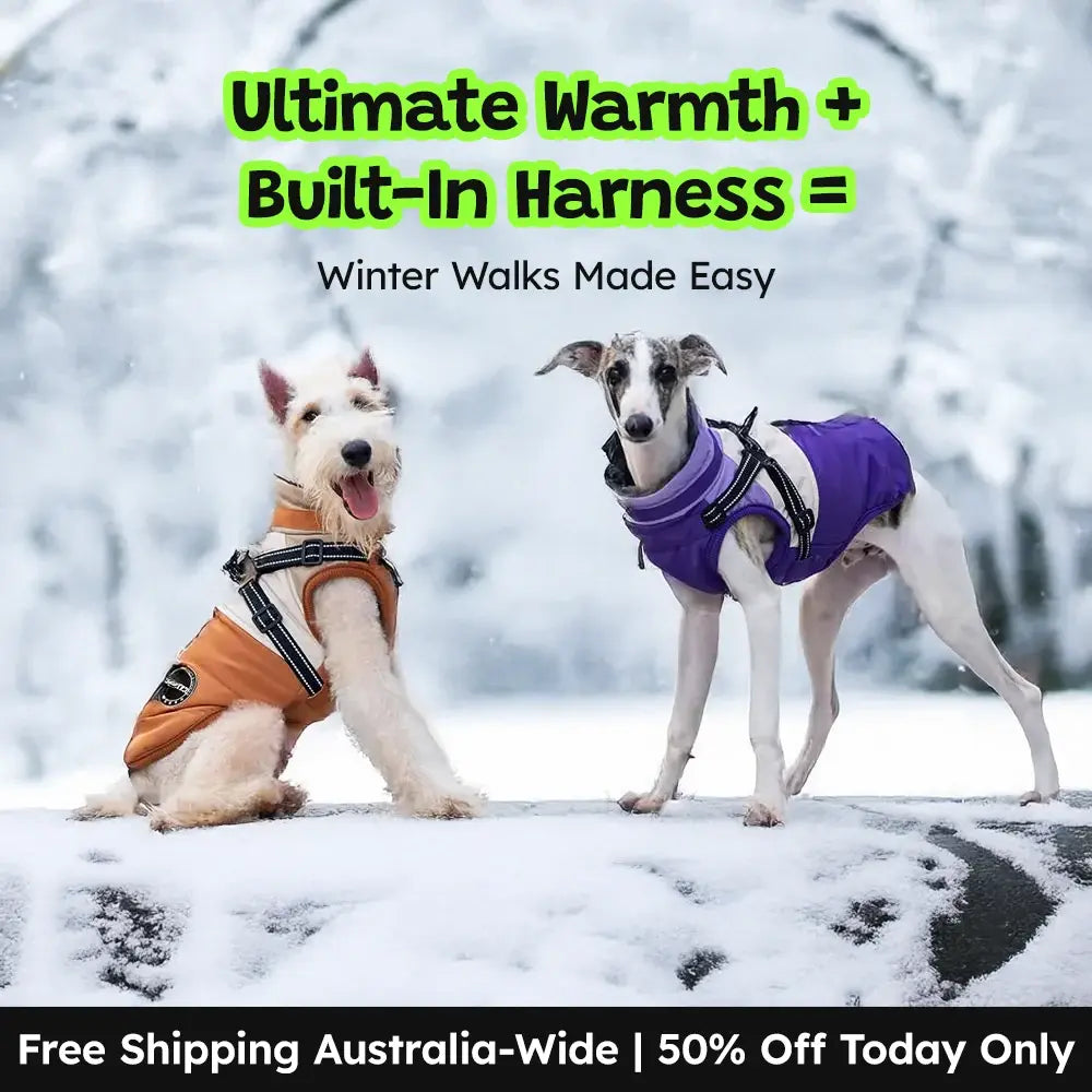 Snowshield™ Dog Jacket - Good Boy Pty Ltd