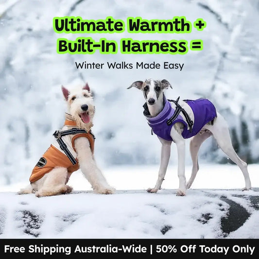 Snowshield™ Dog Jacket - Good Boy Pty Ltd