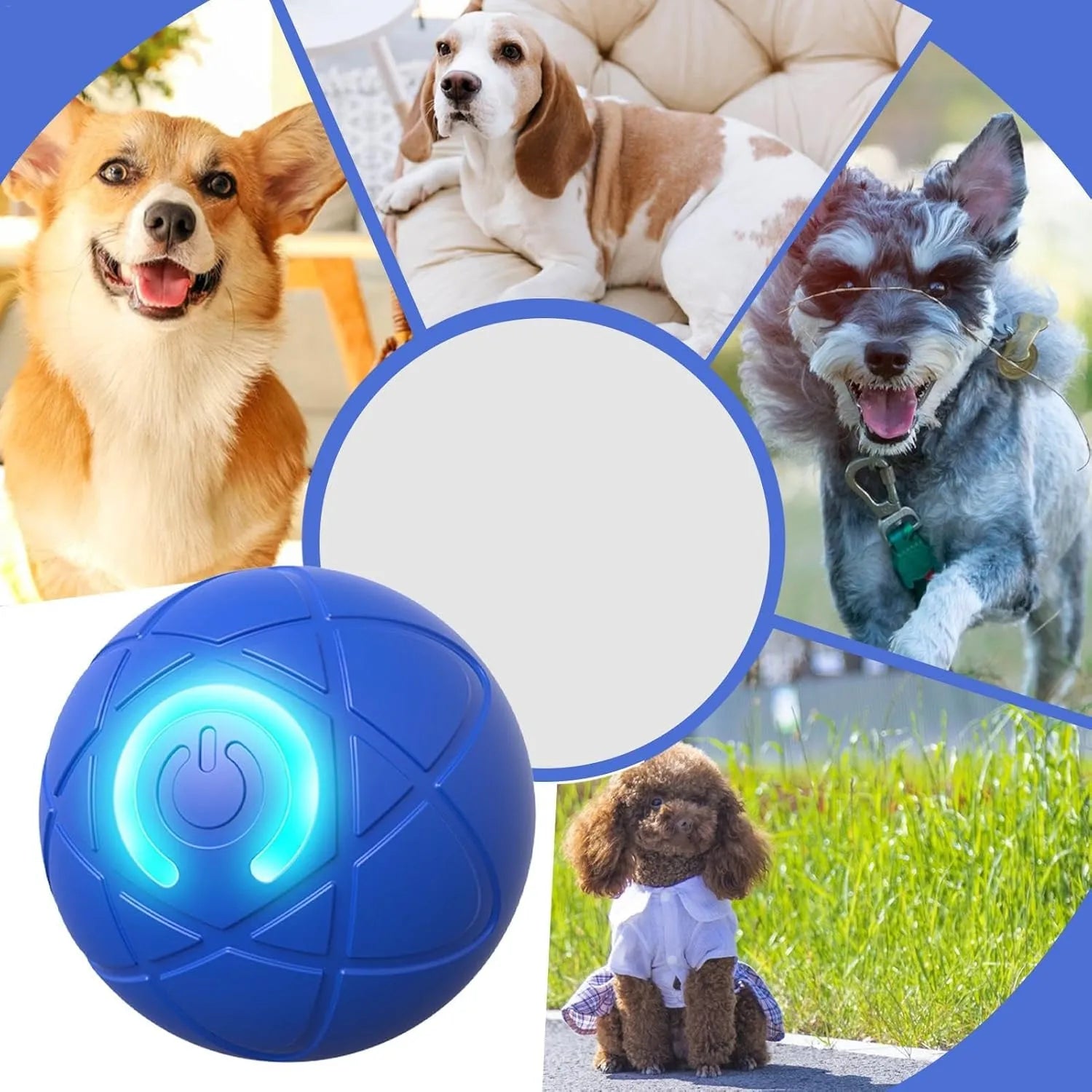 PlayRoller Ball - Good Boy Pty Ltd