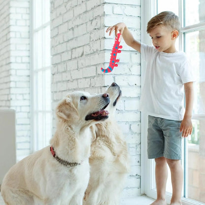 Interactive Lizard Pet Toy - Good Boy Pty Ltd
