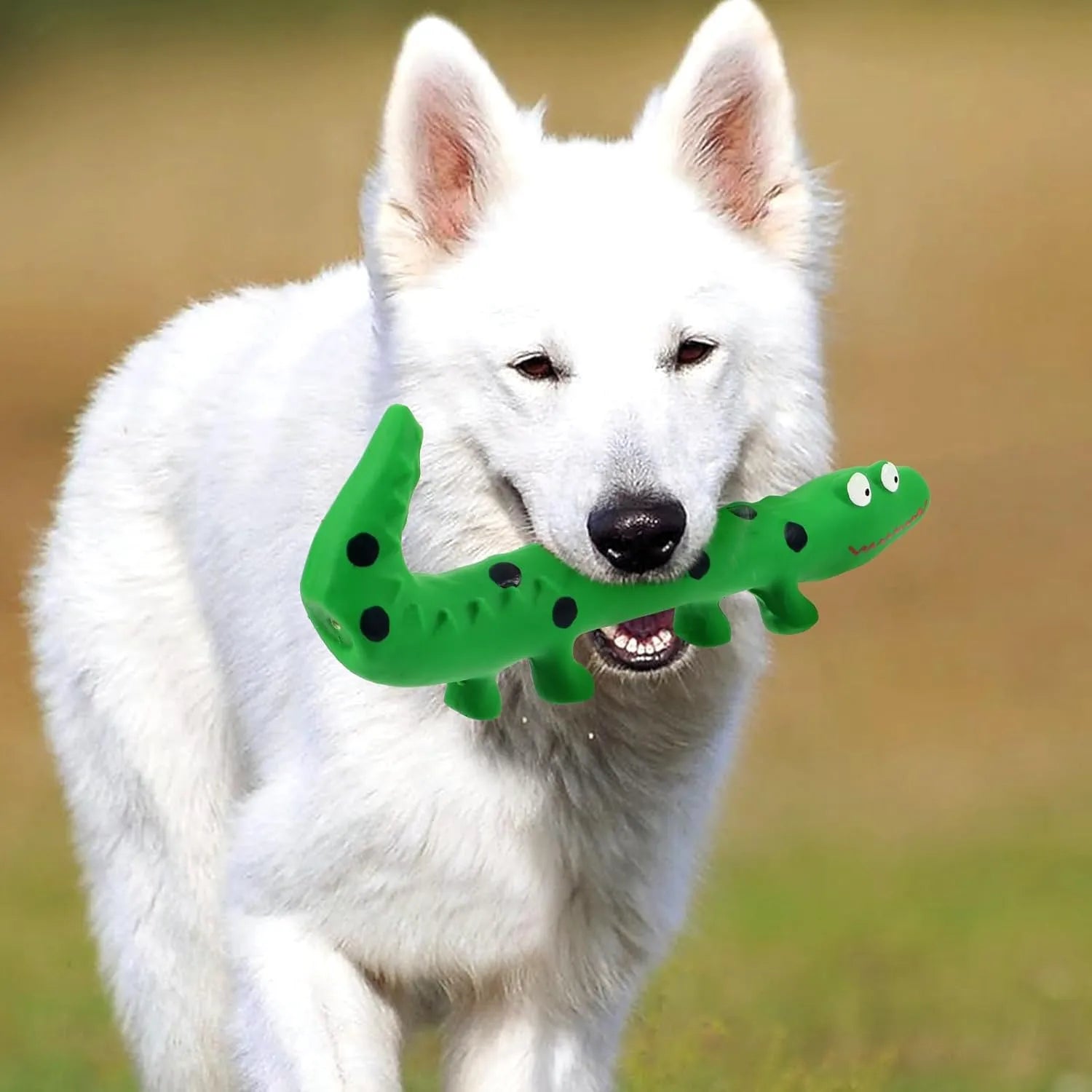 Interactive Lizard Pet Toy - Good Boy Pty Ltd