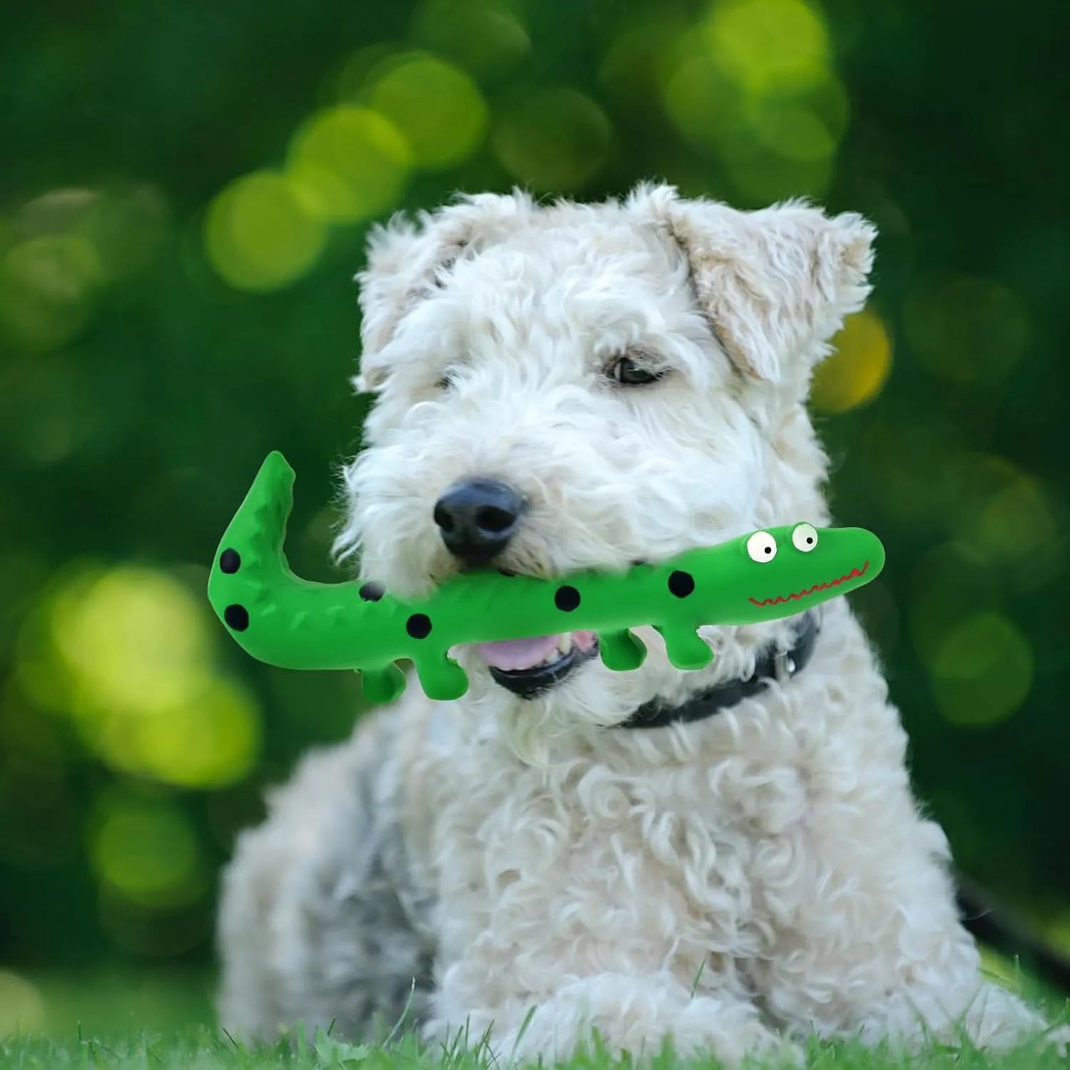 Interactive Lizard Pet Toy - Good Boy Pty Ltd